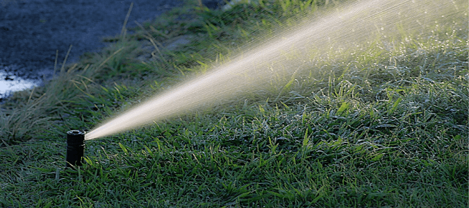a sprinkler head watering a lawn