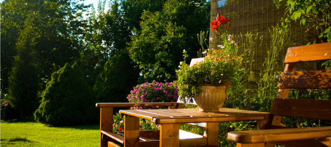 a garden that is green while still having conserved water