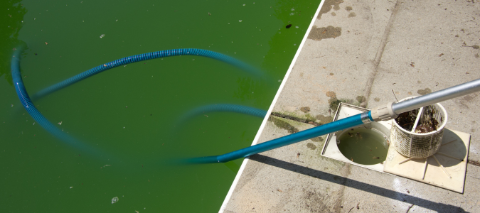green water in a pool