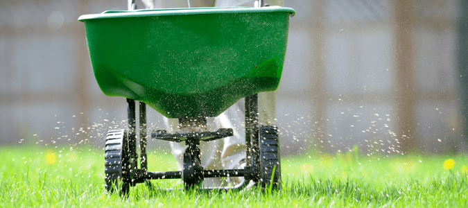green wheelbarrow spreading fertilizer on lawn