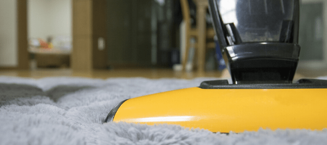a homeowner vacuuming their carpet because fleas can hide there