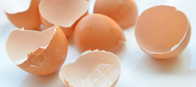 close-up of eggshells