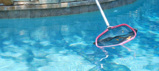 a wand tool used for pool cleaning