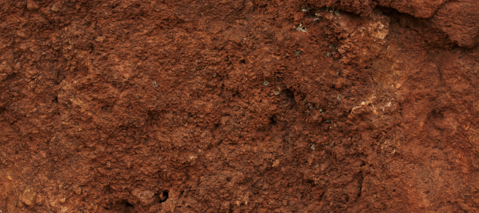 clay soil