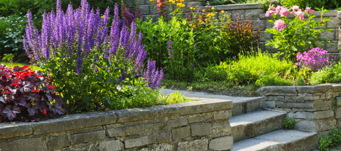 a home garden