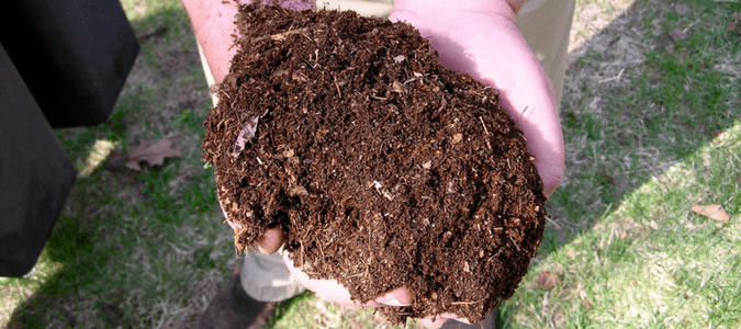 dirt