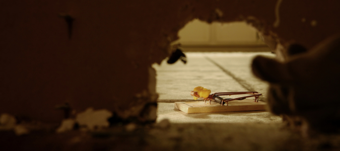 Baited mouse trap near wall opening