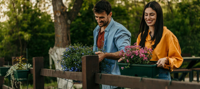 Care for Trees and Shrubs in My Yard - ABC Home and Commercial Services