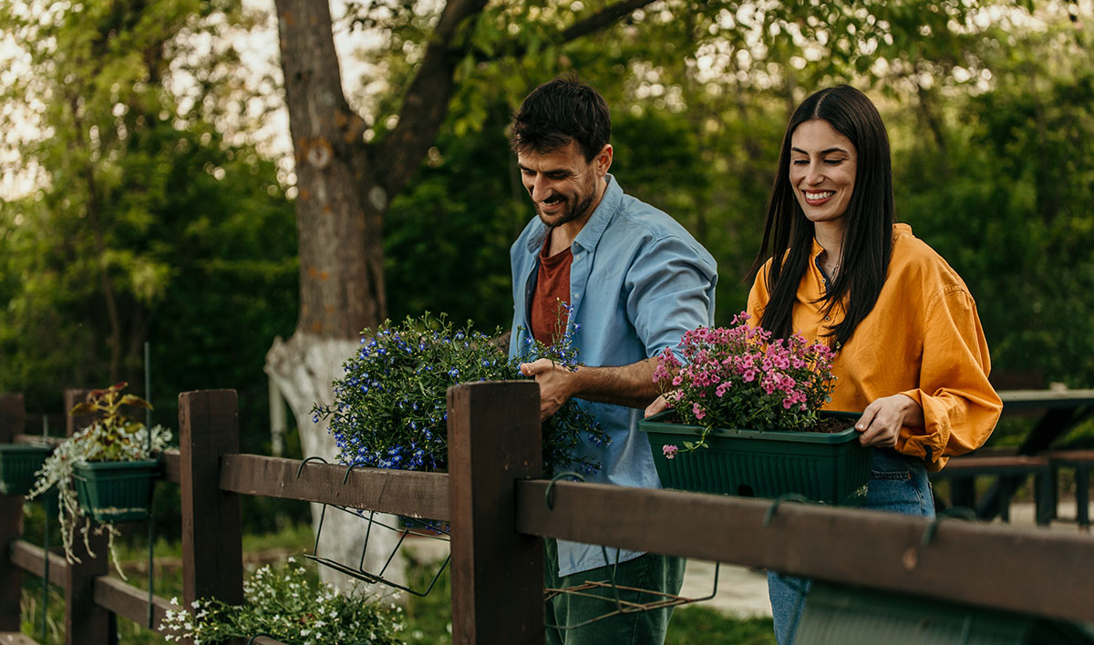 Care for Trees and Shrubs in My Yard - ABC Home and Commercial Services