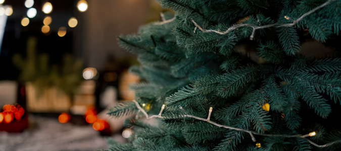 Christmas tree with string lights