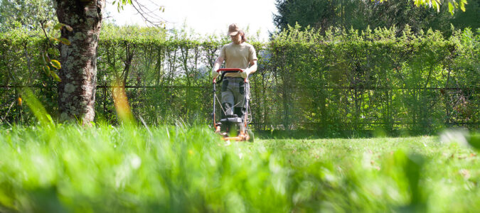 Lawn and Tree Care - ABC Home and Commercial Services