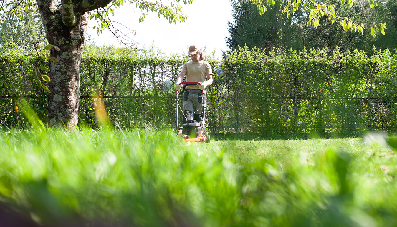 Lawn and Tree Care - ABC Home and Commercial Services