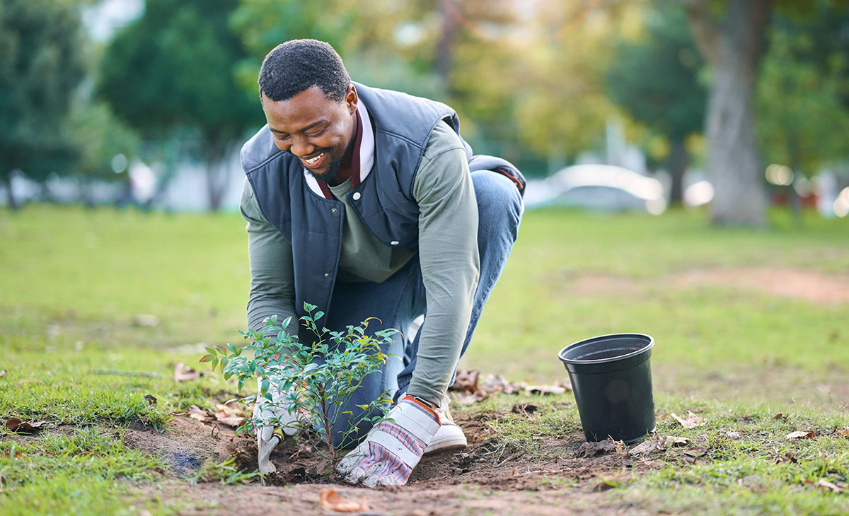 When to Plant a Tree - ABC Home and Commercial Services