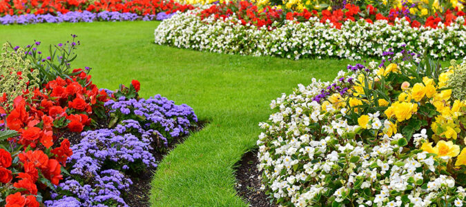 Landscaping - ABC Home and Commercial Services
