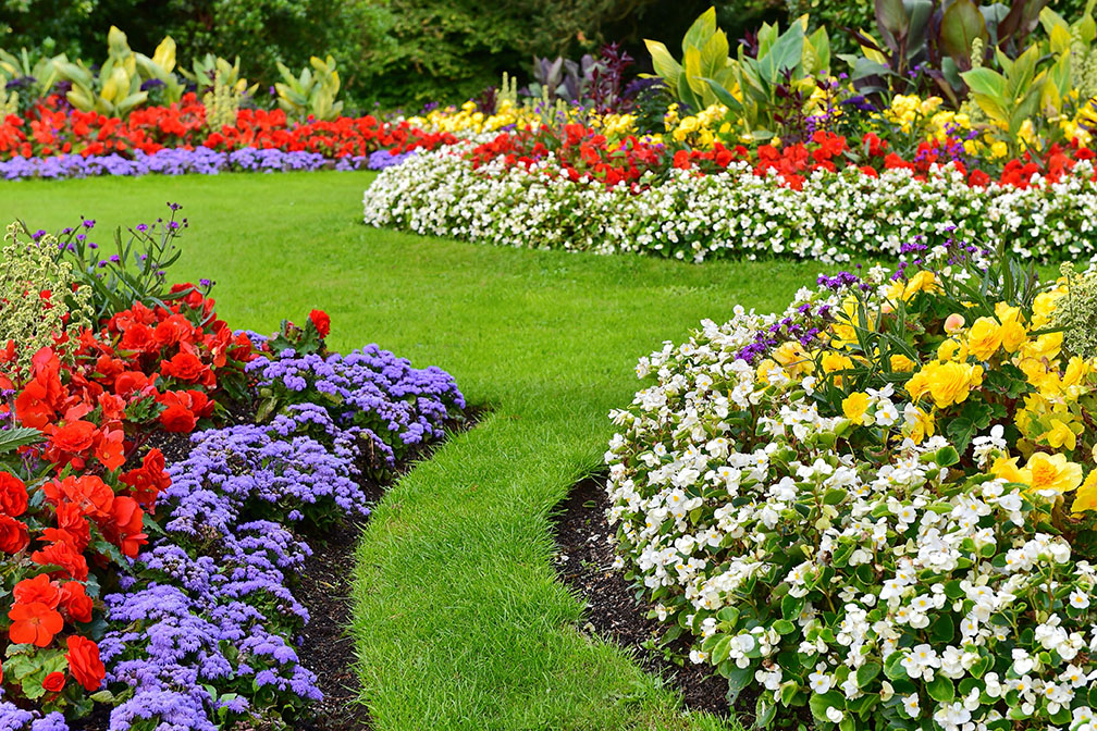 Landscaping - ABC Home and Commercial Services