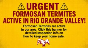 URGENT: FORMOSAN TERMITES ACTIVE IN RIO GRANDE VALLEY!
