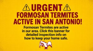 URGENT: FORMOSAN TERMITES ACTIVE IN SAN ANTONIO!