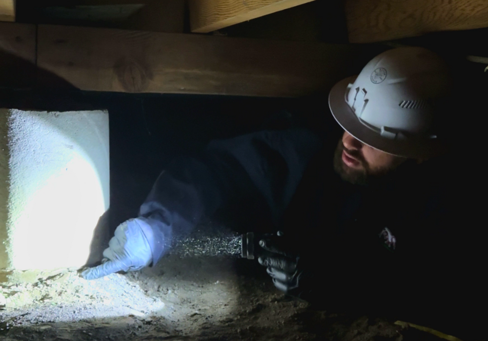 ABC termite specialist in crawl space