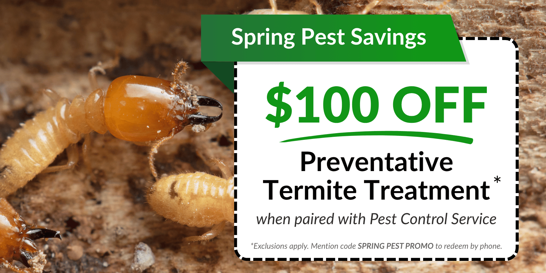 $100 Off Preventative Treatment Coupon