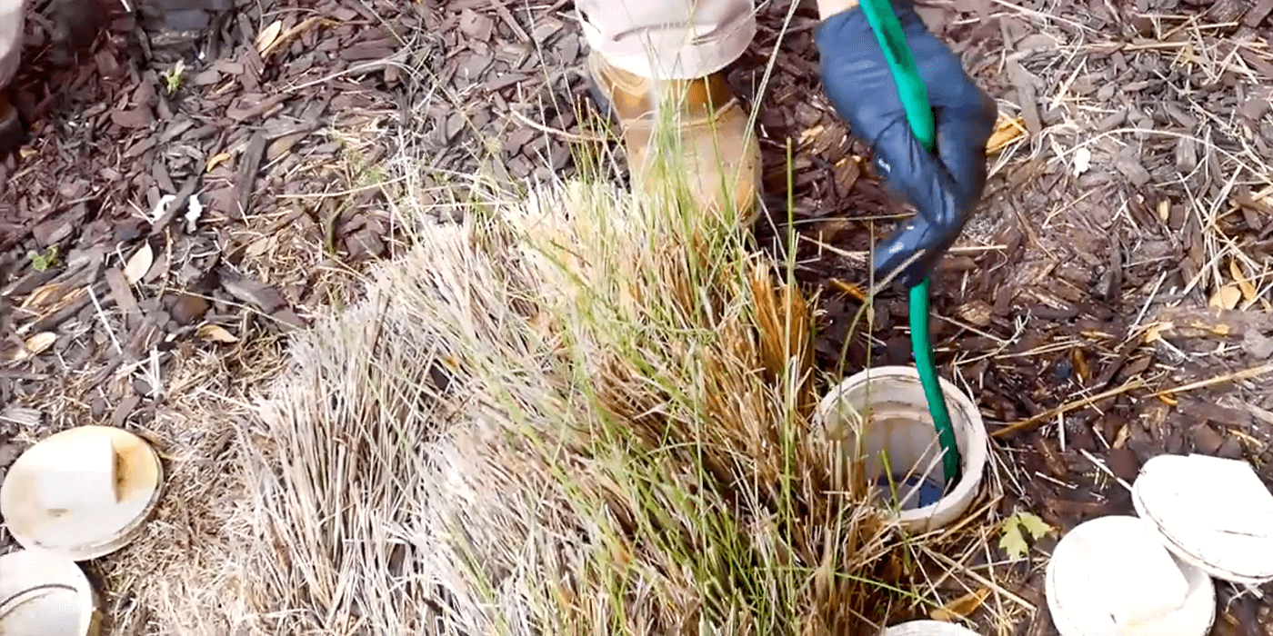 a licensed plumber cleaning a homeowner’s drains