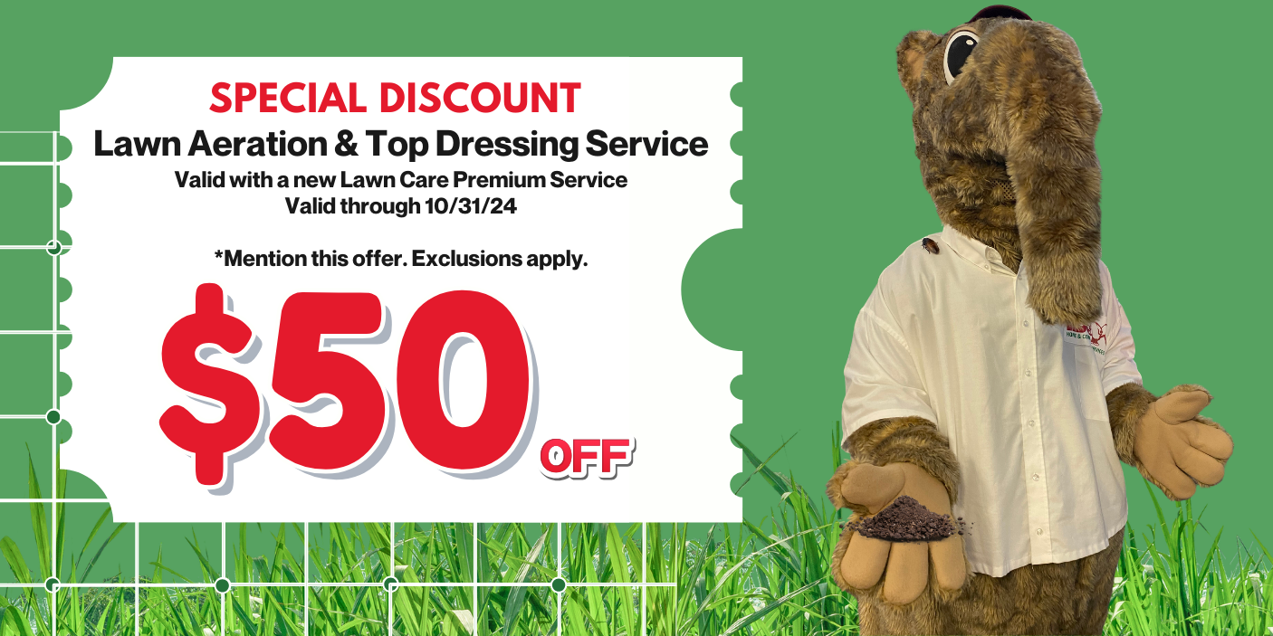 Lawn Aeration & Top Dressing Service Promo