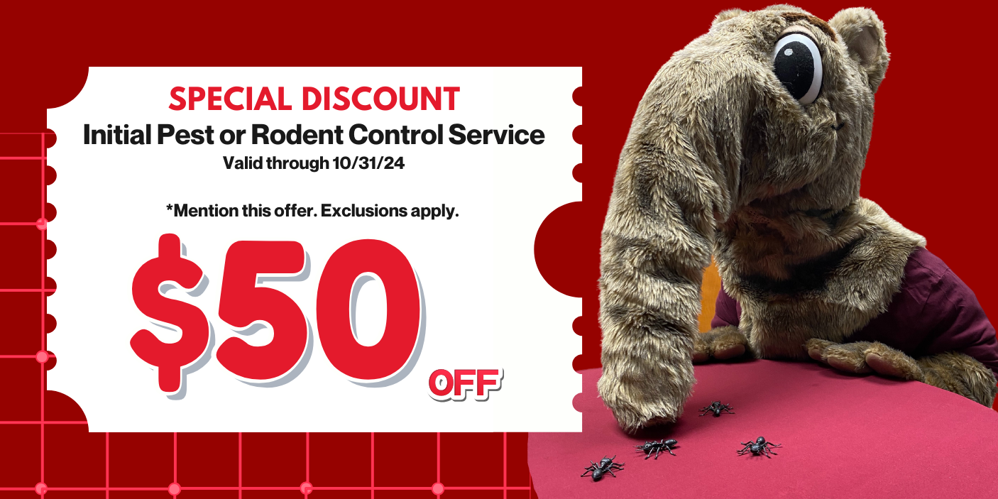 ABC Dallas Pest and Rodent Control Promo