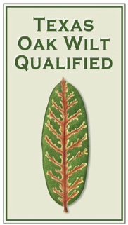 Texas oak wilt qualified in Texas